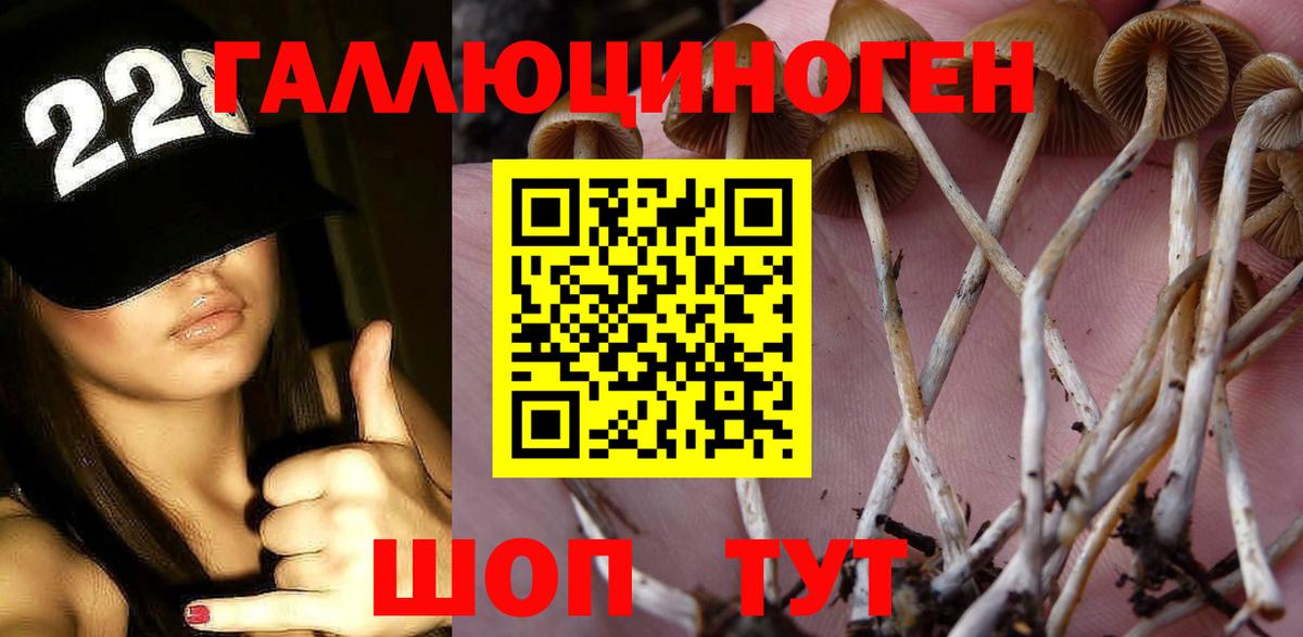 Псилоцибиновые грибы Psilocybine cubensis  Вход с VPN  Ачинск 